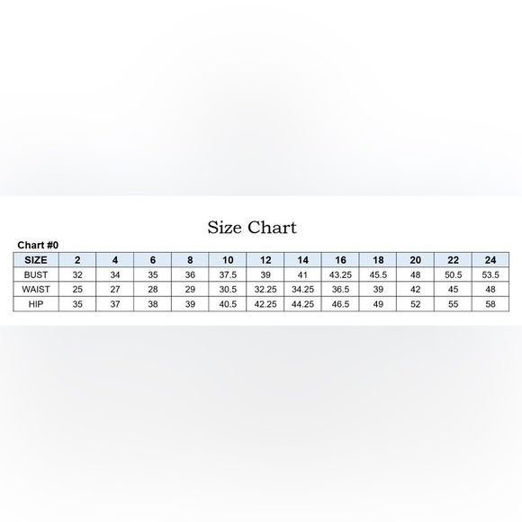 NEW LONG FORMAL DRESS. SILVER/NUDE MOTHER OF THE BRIDE GOWN. PAGEANT FITTED - Picture 6 of 6